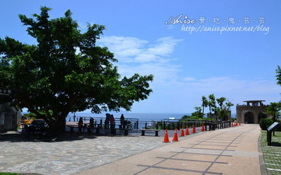 照片：「Anise」BLOG